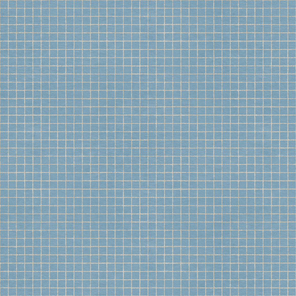 Geometric grid wallpaper pattern with clean, intersecting lines arranged in a structured, modern layout, creating a crisp and graphic design ideal for contemporary interiors. Blue and white check, graphic squares 